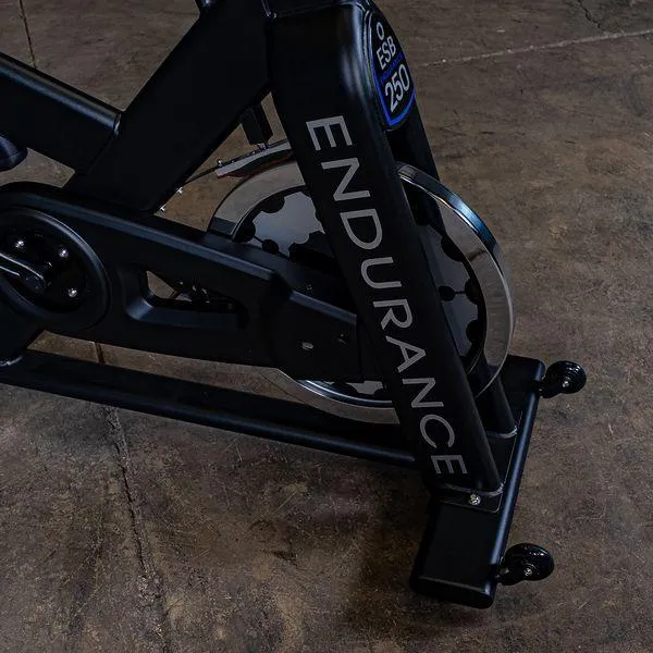 Body-Solid Exercise Bike Indoors Stationary Endurance ESB250