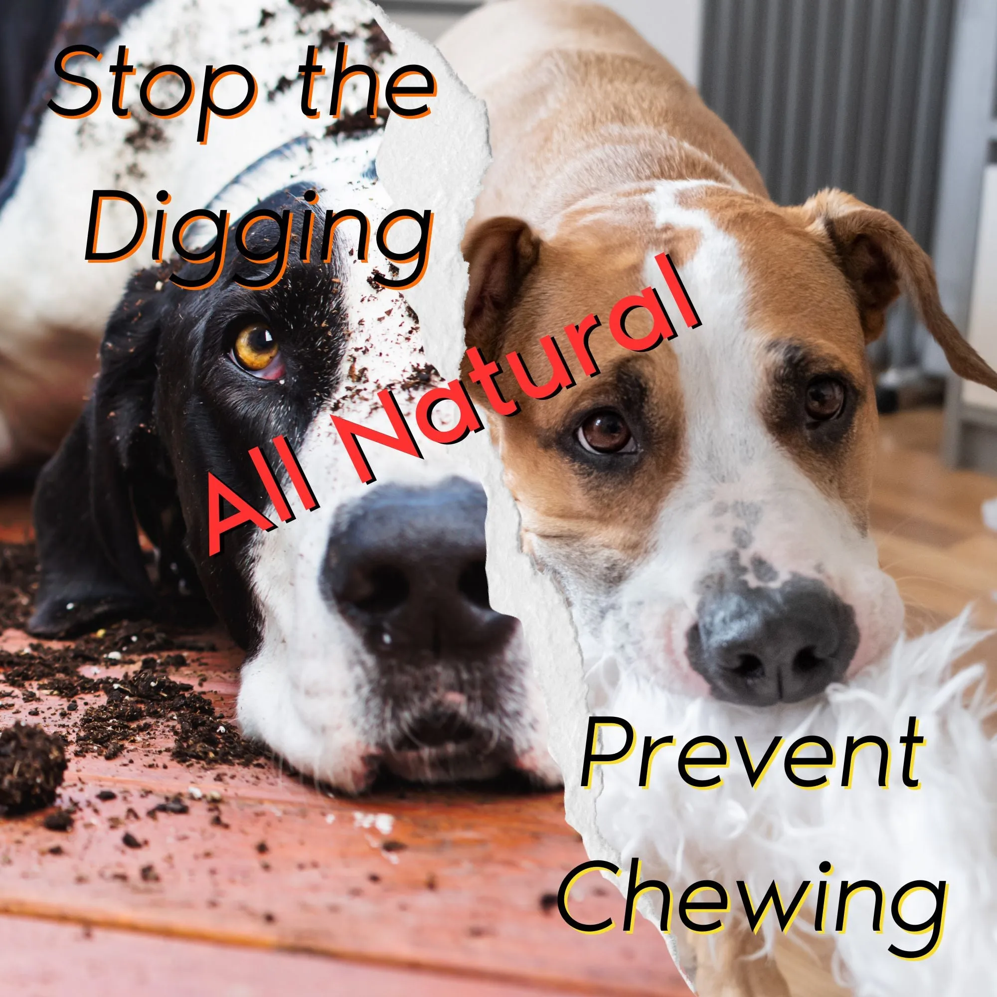 Chewing/Digging Prevention; Bad Dog Bundle Inside/Outside